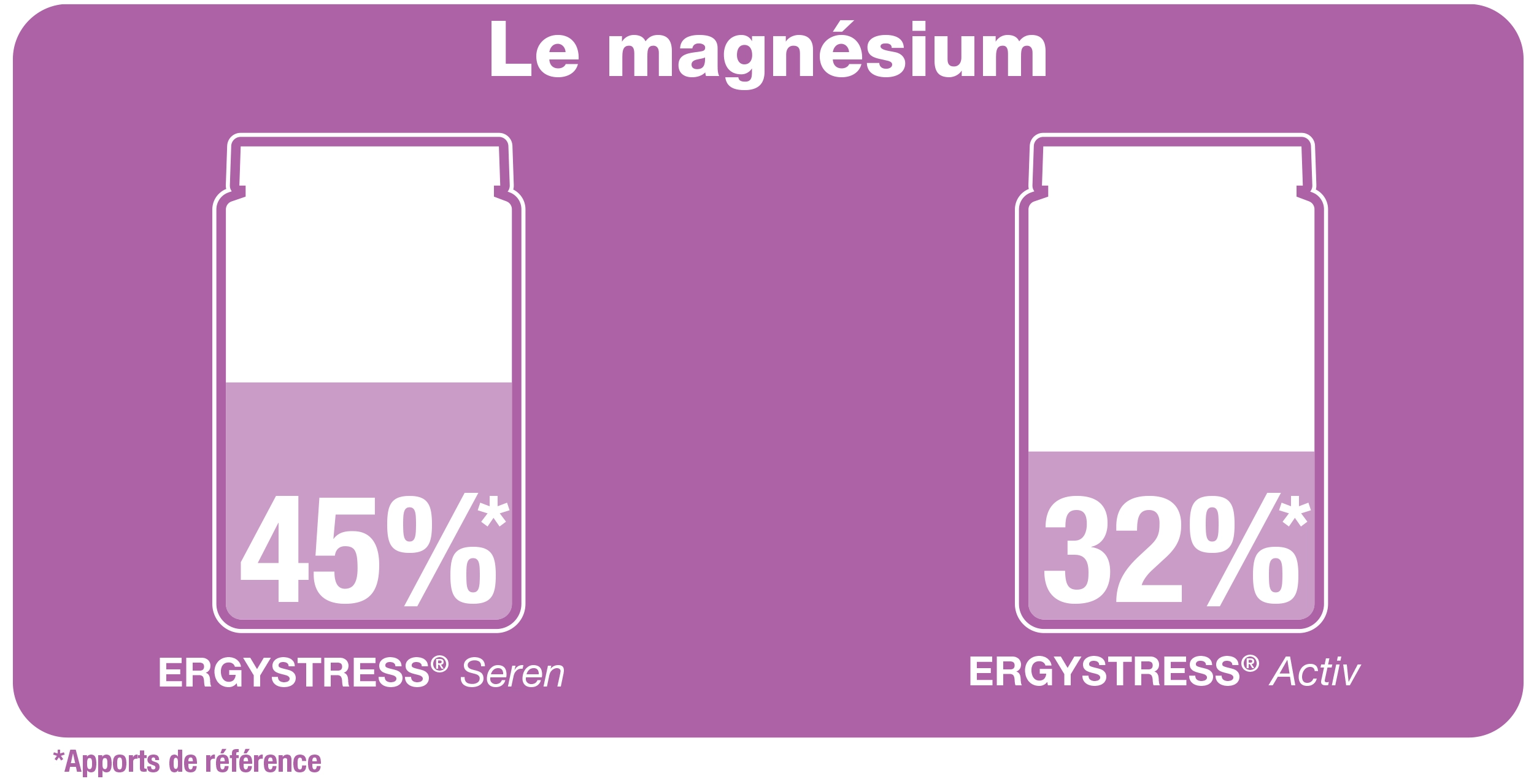Infographie magnésium et ERGYSTRESS